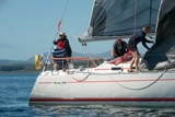 cool bandit 2 2914c whyw22 sun 800_2445yi
